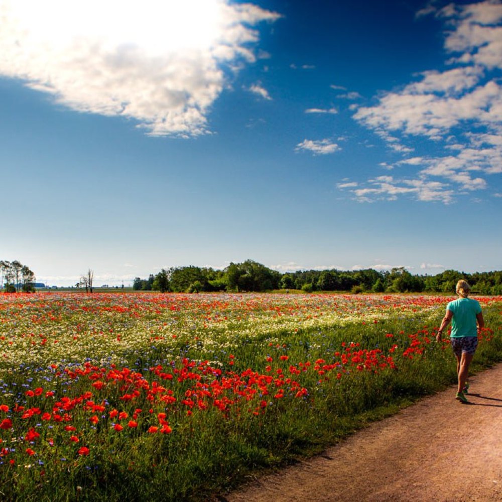 Spaziergang durch das Vadstena Abbey Hotel