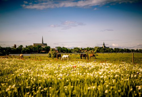 Vadstena Abbey Hotel Sommer 1