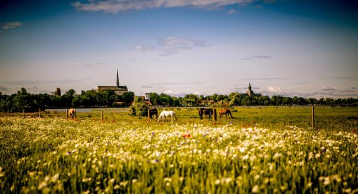 Vadstena Abbey Hotel Sommer 1