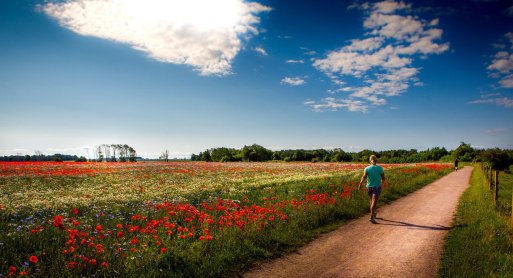 Spaziergang durch das Vadstena Abbey Hotel