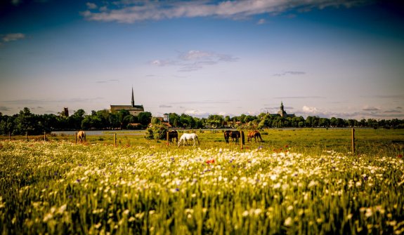 Vadstena Abbey Hotel Sommer 1
