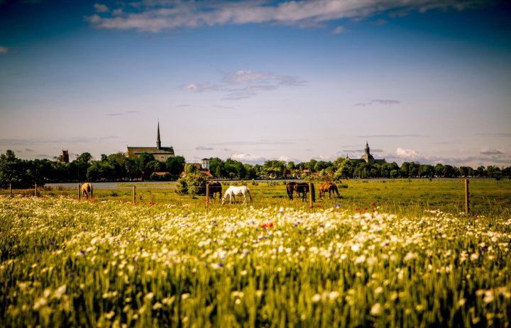 Vadstena Abbey Hotel Sommer 1